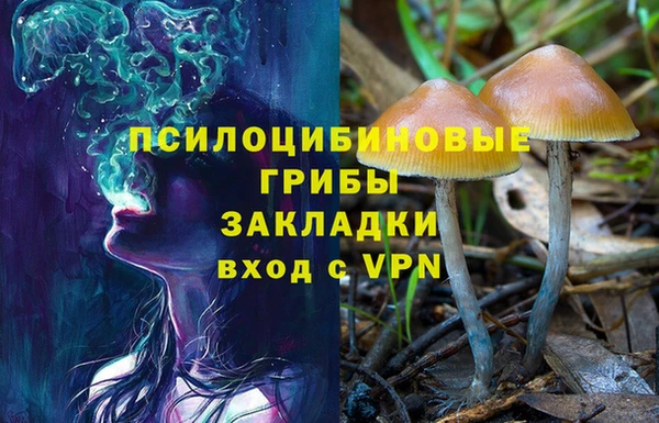 стафф Алексин