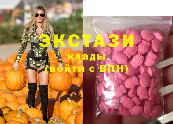 стафф Алексин